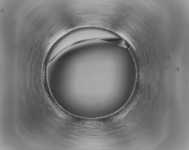 X0000088211077200706051251