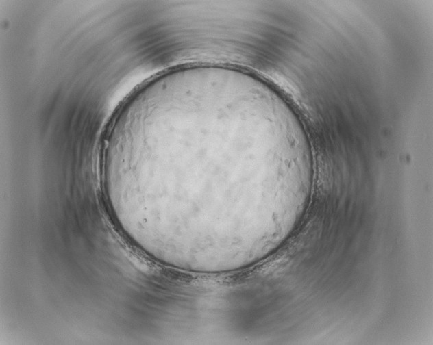 X0000088211078200706051251