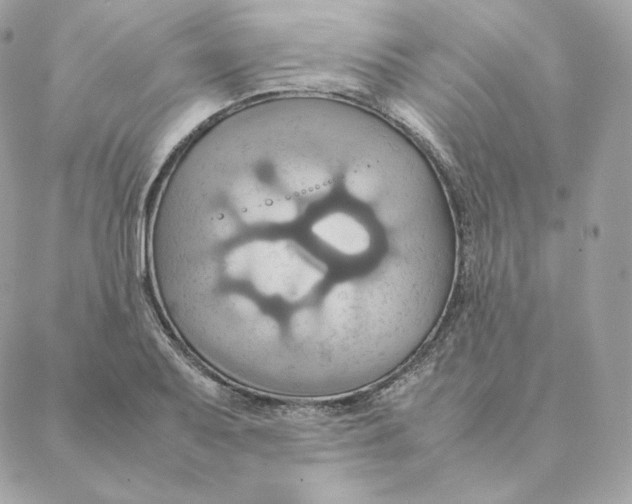 X0000088211079200706051251