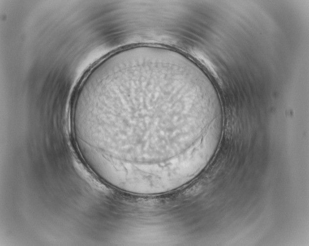 X0000088211080200706051251