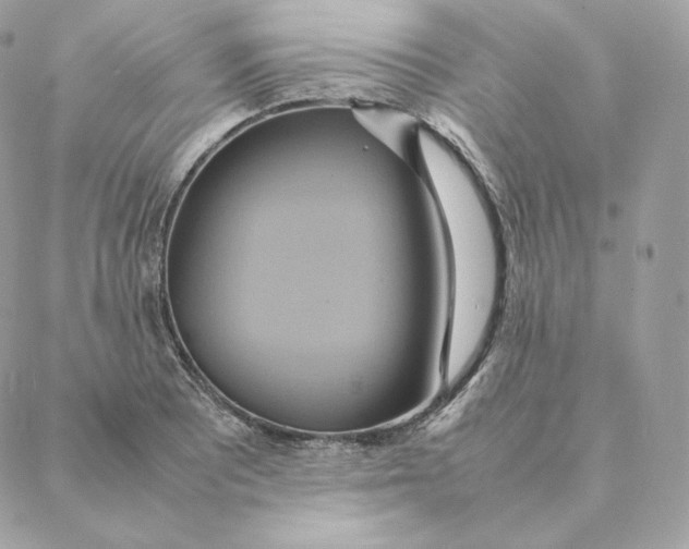 X0000088211081200706051251