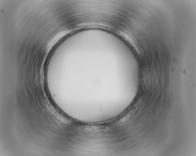 X0000088211082200706051251