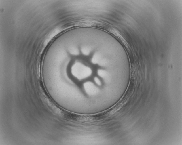 X0000088211083200706051251