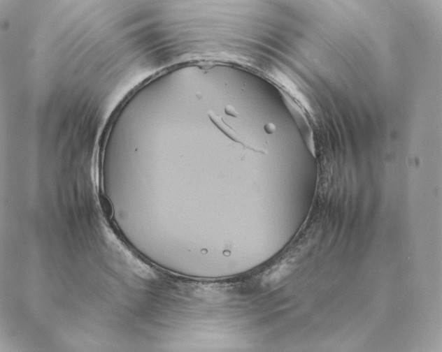 X0000088211084200706051251