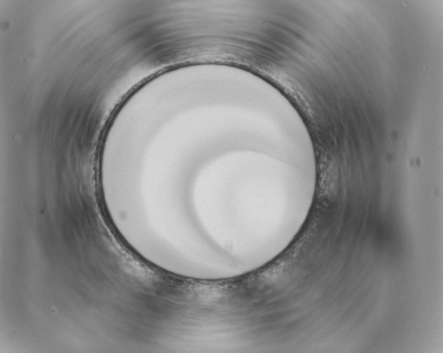 X0000088211086200706051251