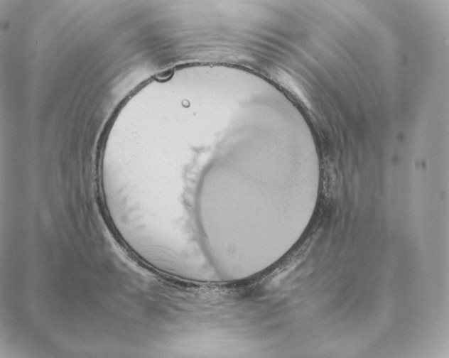 X0000088211087200706051251