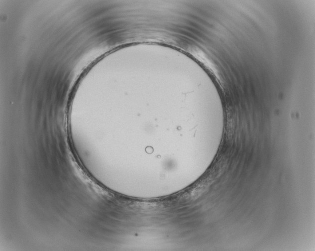 X0000088211088200706051251