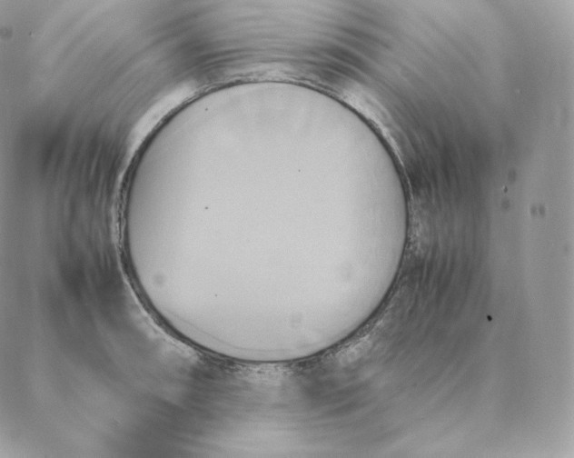 X0000088211090200706051251