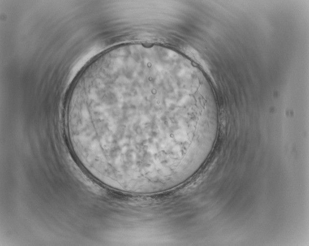 X0000088211091200706051251