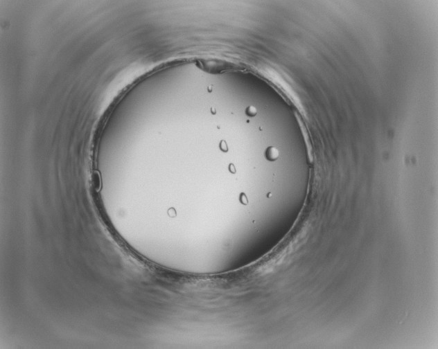 X0000088211093200706051251