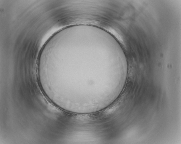 X0000088211094200706051251