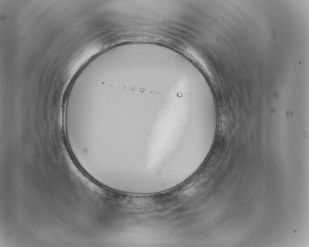 X0000088211095200706051251