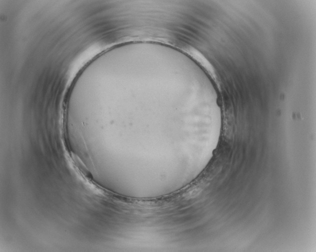 X0000088211096200706051251