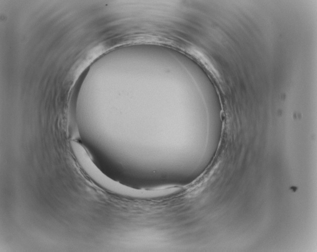 X0000088211097200706051251