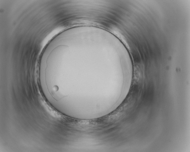 X0000088211098200706051251