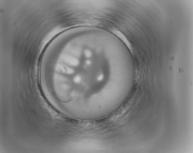 X0000088211099200706051251