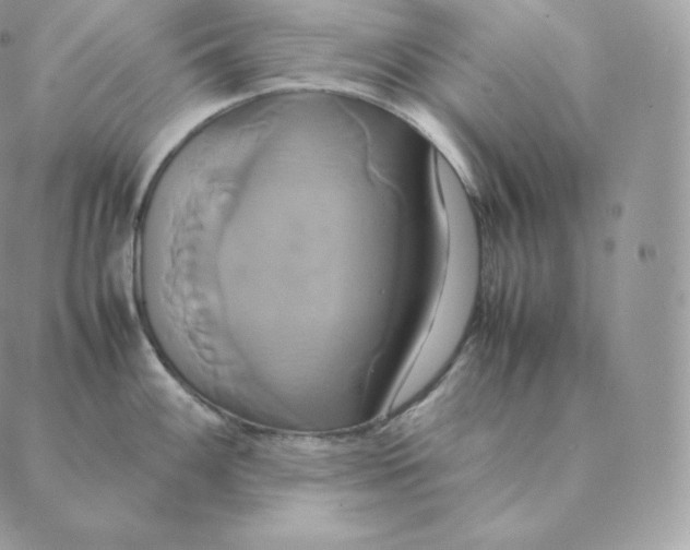 X0000088211100200706051251