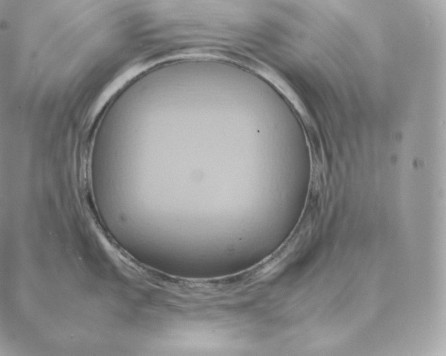 X0000088211101200706051250