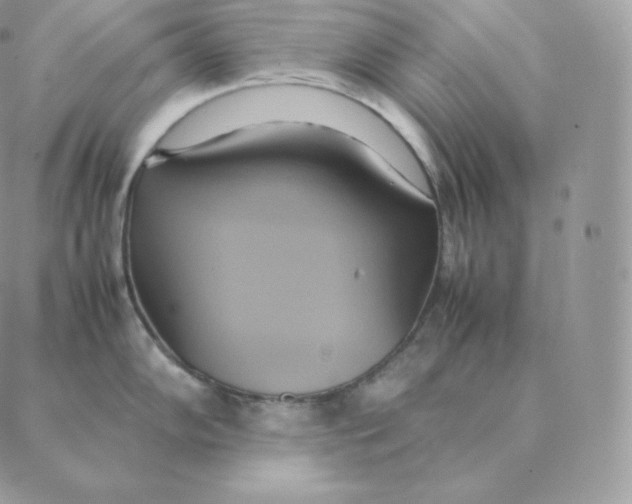 X0000088211102200706051250