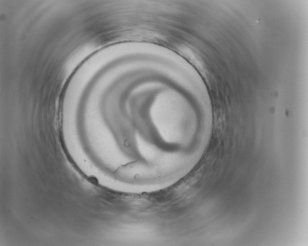 X0000088211103200706051250