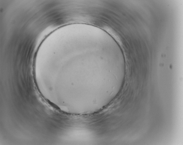 X0000088211104200706051250