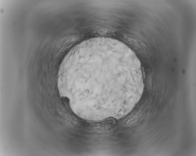 X0000088211105200706051250