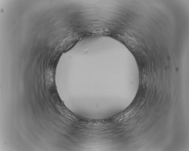 X0000088211106200706051250