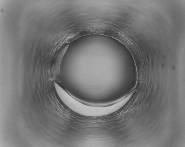 X0000088211108200706051250