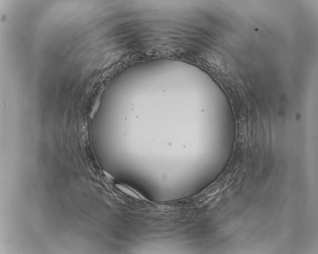 X0000088211109200706051250