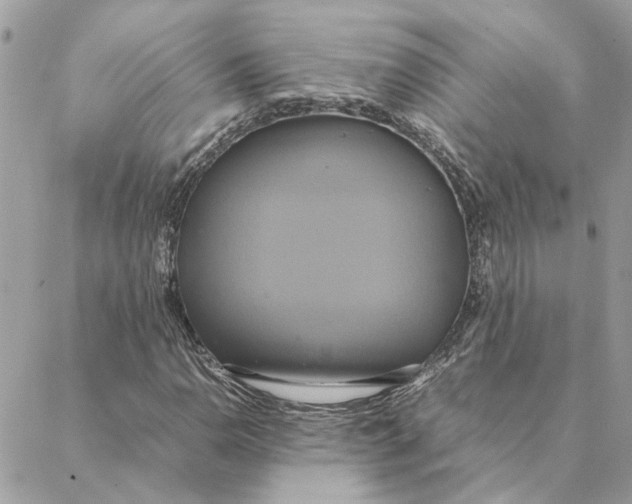 X0000088211110200706051250