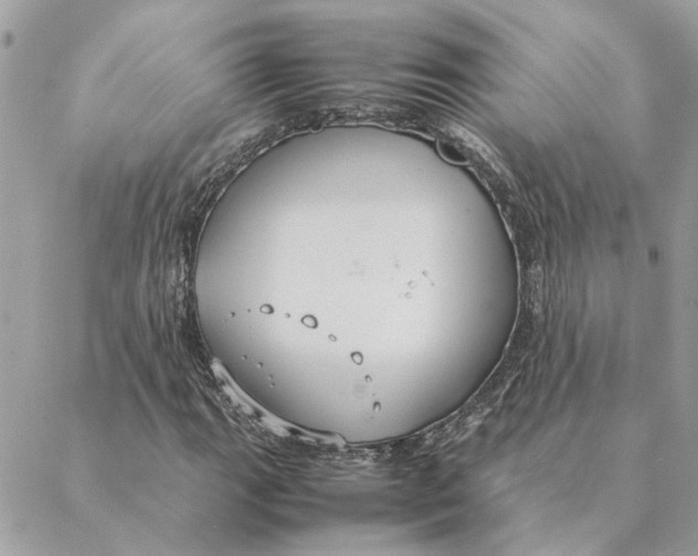 X0000088211111200706051250