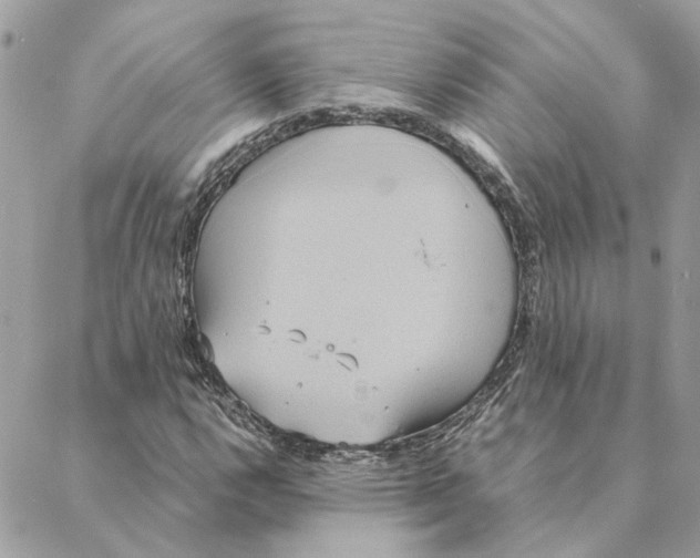 X0000088211112200706051250