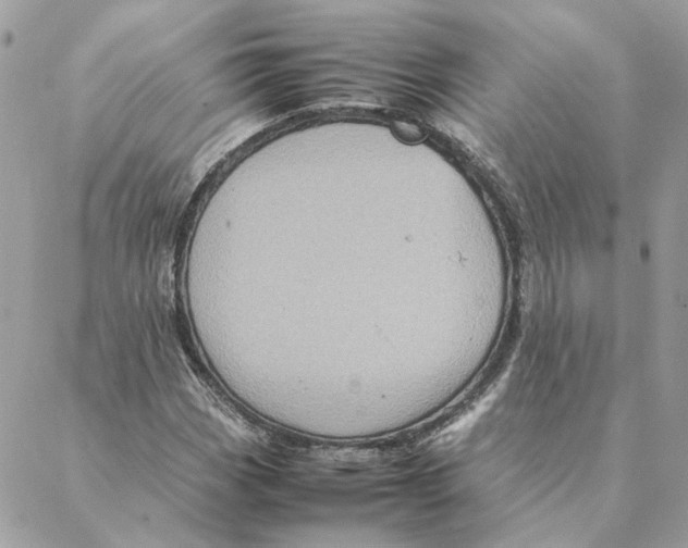 X0000088211113200706051250