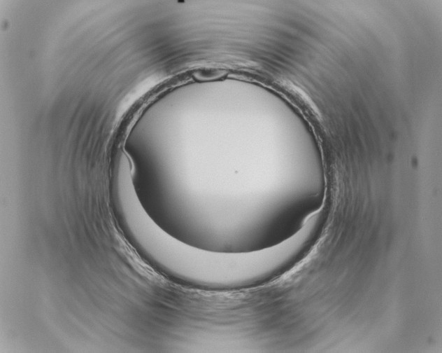 X0000088211114200706051250