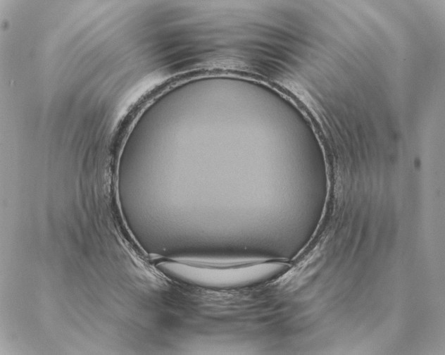 X0000088211115200706051250