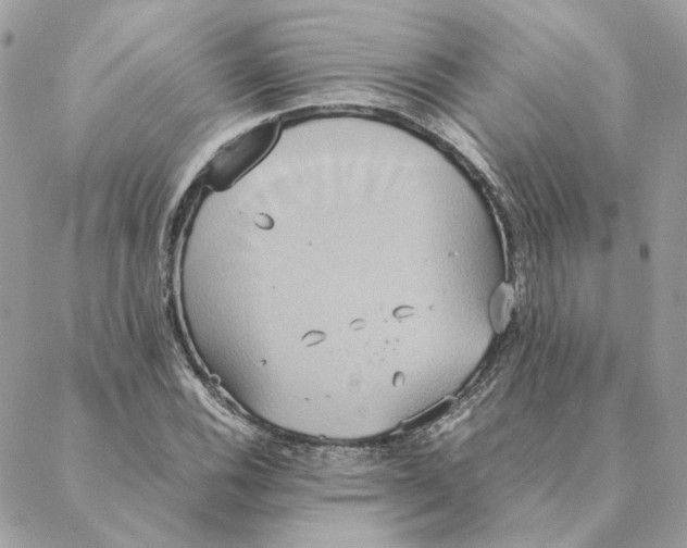 X0000088211116200706051250