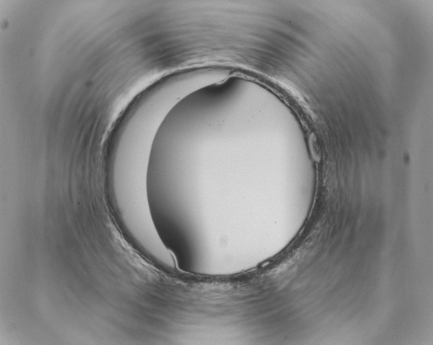 X0000088211118200706051250