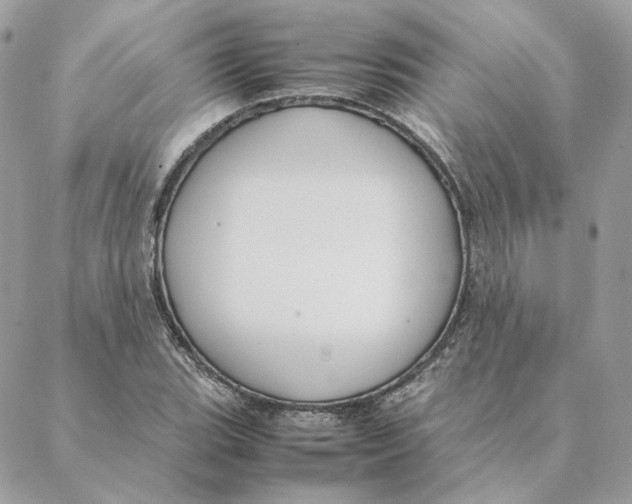 X0000088211119200706051250