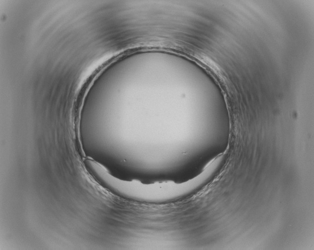 X0000088211120200706051250