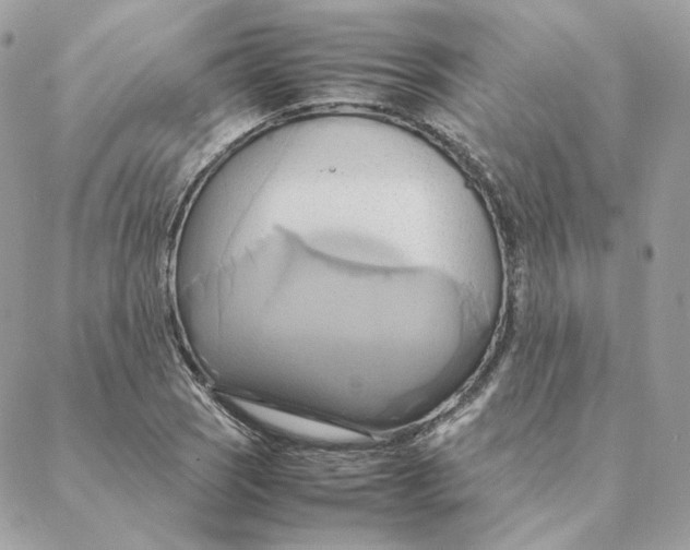 X0000088211121200706051250