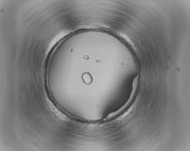 X0000088211122200706051250