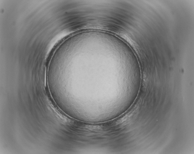 X0000088211123200706051250