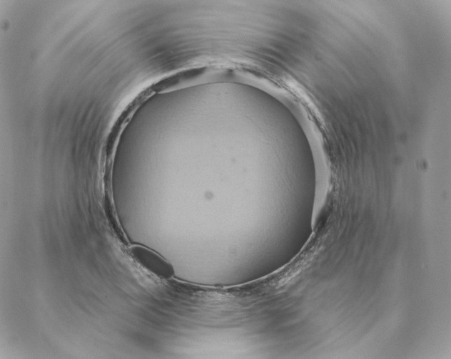 X0000088211124200706051250