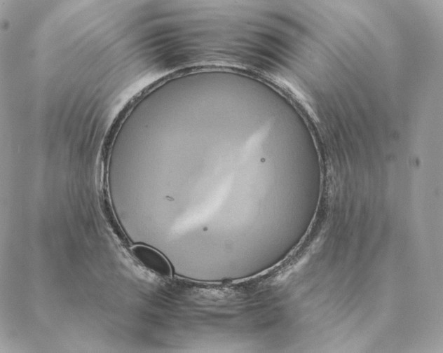 X0000088211125200706051250