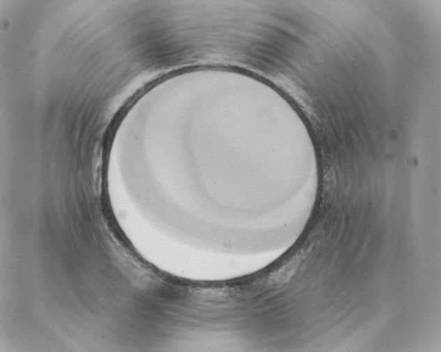 X0000088211126200706051250