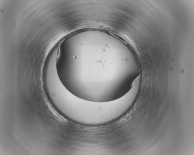 X0000088211128200706051250