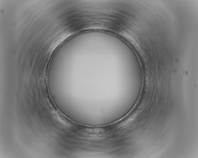 X0000088211129200706051250