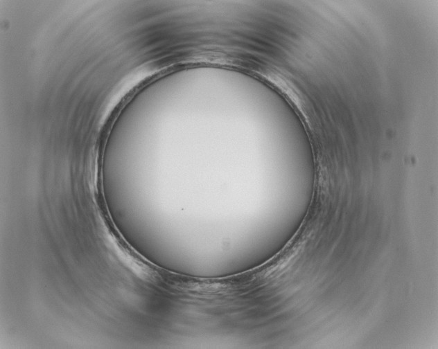 X0000088211131200706051250