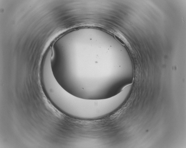 X0000088211132200706051250