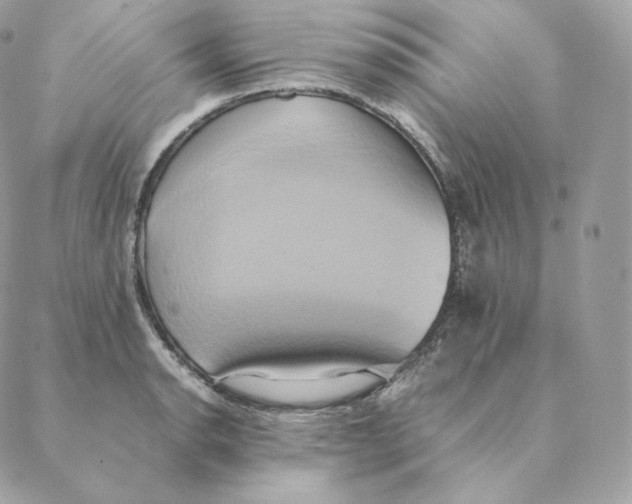 X0000088211134200706051250